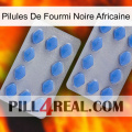 African Black Ant Pills 20